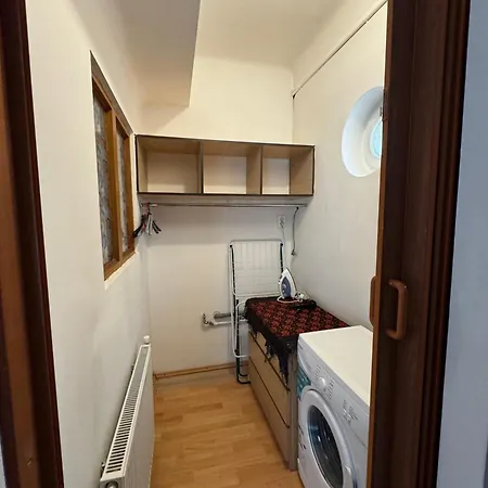 Cozy Tampa Retreat - Ultra-central בראשוב