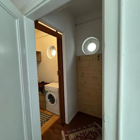 Cozy Tampa Retreat - Ultra-central דירה