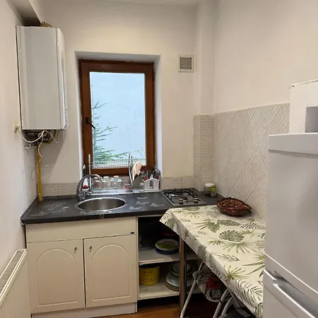 Cozy Tampa 3 Apartment *