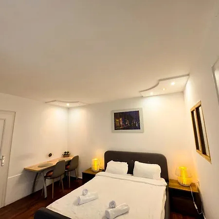Cozy Tampa 3 Apartment