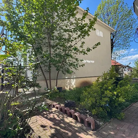 Lejlighed Cozy Tampa Retreat - Ultra-central