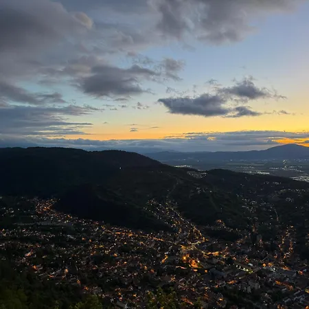 Cozy Tampa Retreat - Ultra-central דירה