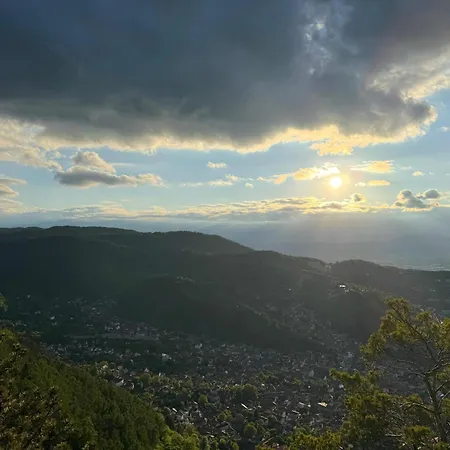 Cozy Tampa Retreat - Ultra-central דירה