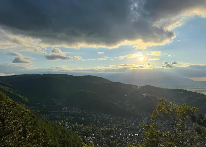 Cozy Tampa Retreat - Ultra-central Lejlighed